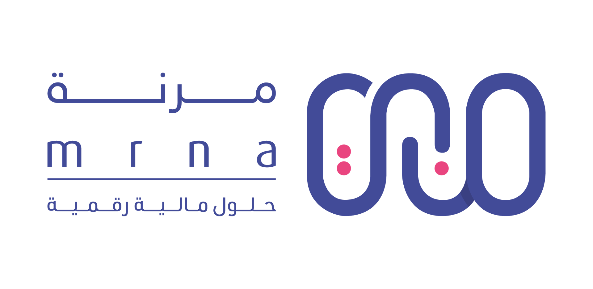 شركة مرنة للحلول المالية