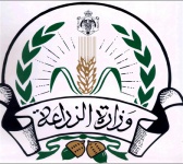 تخصصات الجامعة العربية المفتوحة بالدمام للبنات